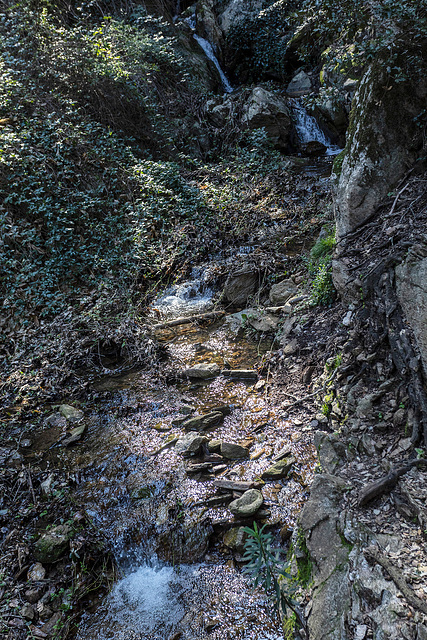 Un petit rafraîchissement par ces fortes chaleurs - Eine kleine Erfrischung bei diesen heißen Temperaturen - A little refreshment on such a hot day