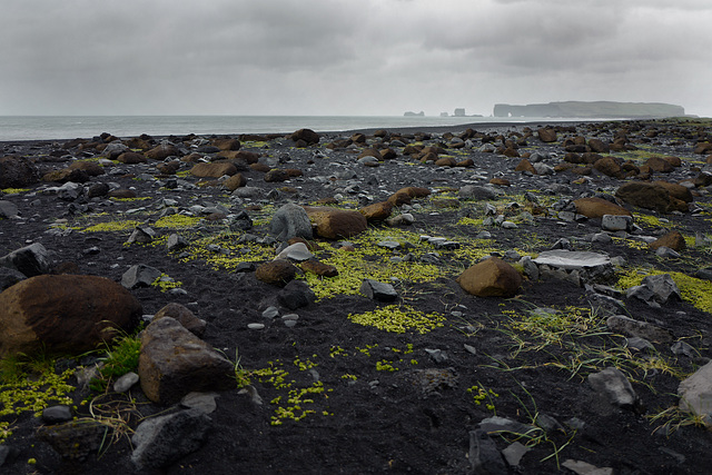 Vík í Mýrdal, Reynisfjara shore