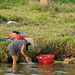 Impressionen aus Huế (© Buelipix)