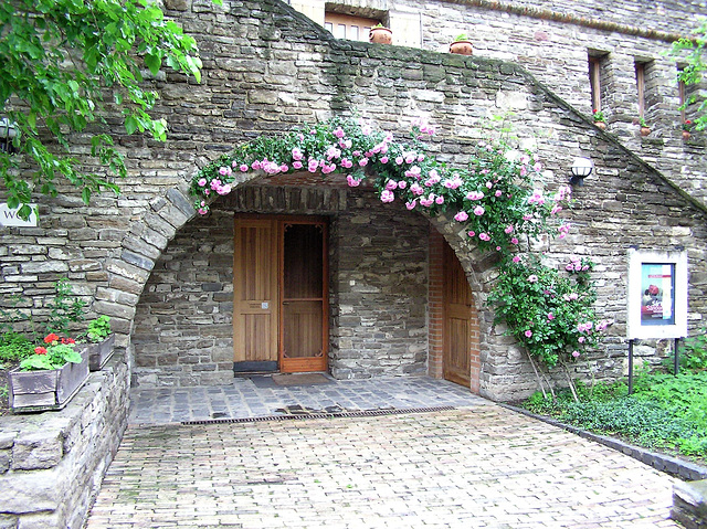 Mauerblümchen in der Wachau