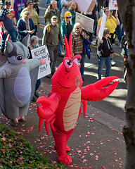 Antifa Lobster