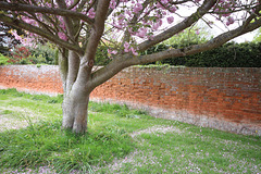 Broad Street, Orford, Suffolk