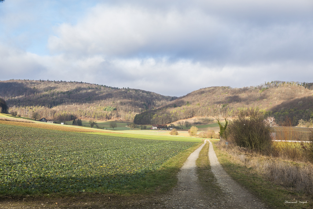 Beringen