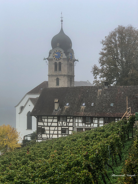 Kirche Eglisau im Morgen Nebel