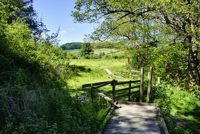 End of the walkway..... (HFF everyone)