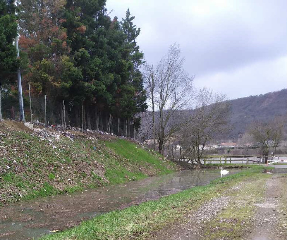 En bordure du Rhône vers St Vallier