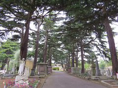 westminster cemetery, ealing, london