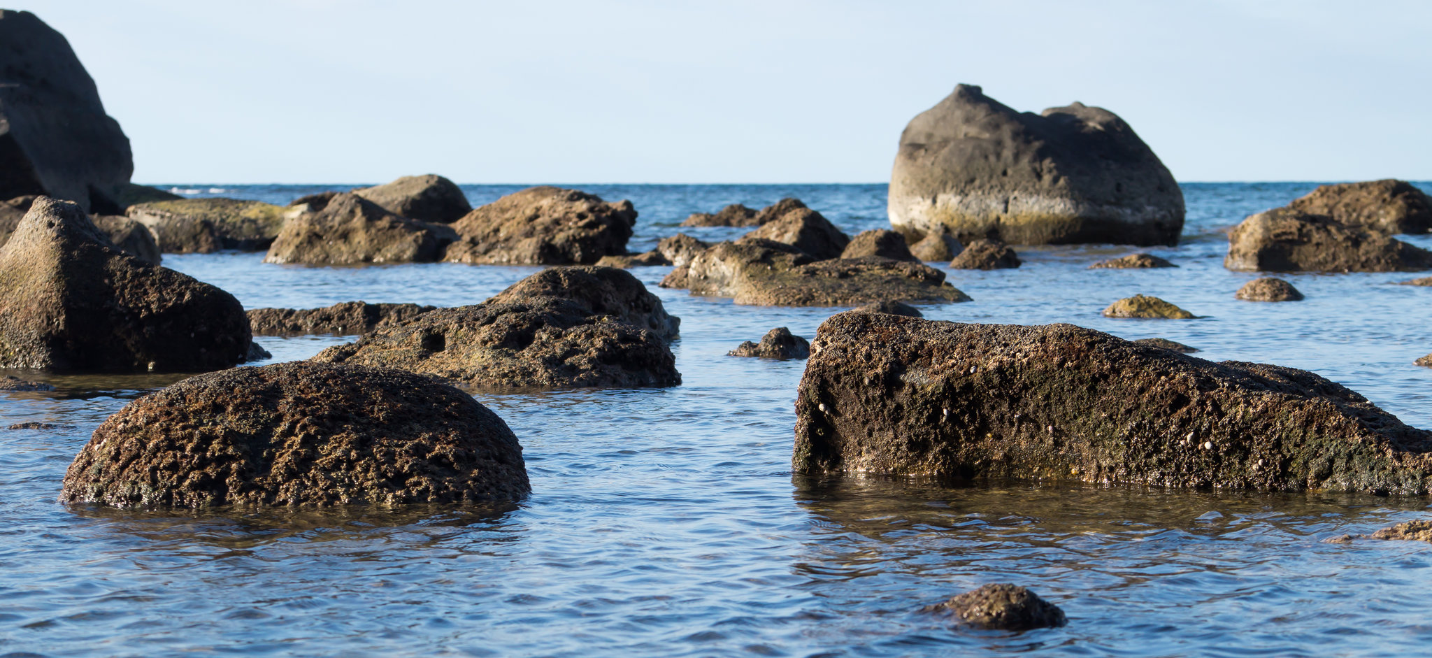 Mauritius Albion DSC08289