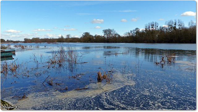 LA LOIRE-BLUE PLANETE/PLANETTE BLEUE