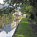 Canalside reflection