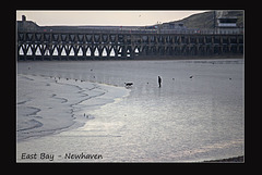 One man & his dog - East Bay - Newhaven - 21.3.2016