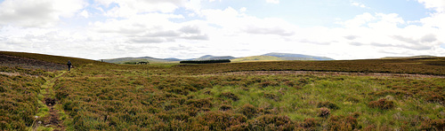 Scotland St. Cuthbert's Way
