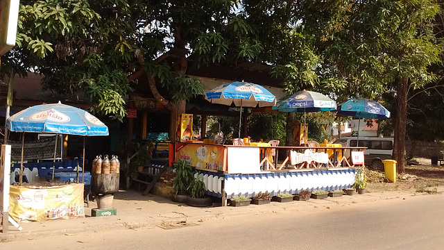 Le Pepsi protecteur de cocos