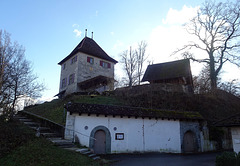 Schloss Buchegg