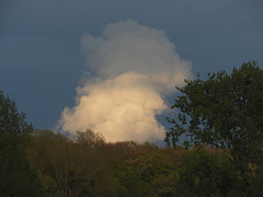 the german  cloud