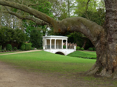 Audley End- Robert Adam's Tea Bridge and London Plane Tree