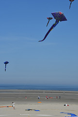 Berck Plage