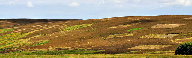 Scotland St. Cuthbert's Way