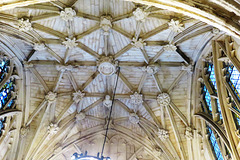 gloucester cathedral (47)