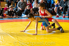 26tpt-0536 33343516596 o 26tpt-0536 33343516596 o