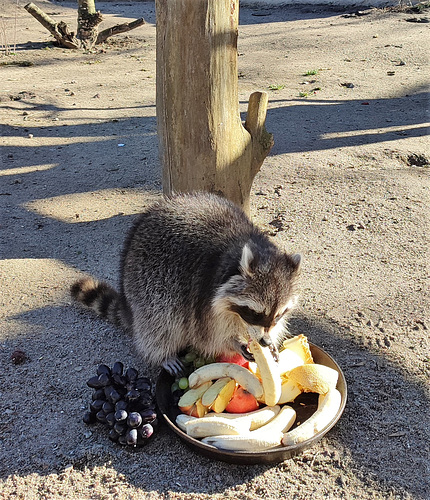 Mhm, lecker...