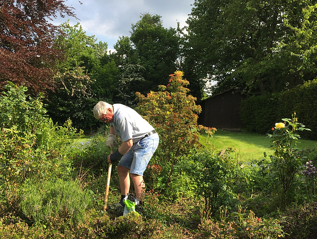 Travail au jardin