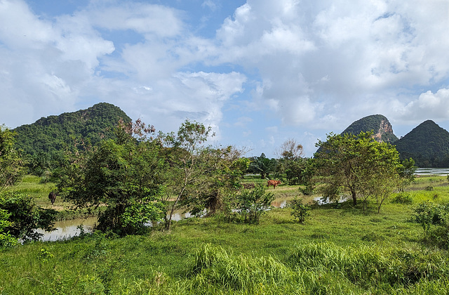 La belle Thaïlande paisible et pittoresque / Picturesque Thailand caught from our train