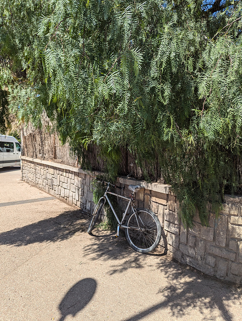 Vélo et feuillage / Foliage and bicycle