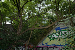 KR527346©IngoKrehl