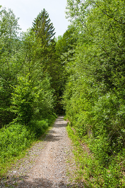 120527 Sihlbrugg-Sihlwald B