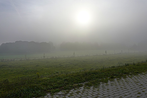 De zon probeert erdoor te komen