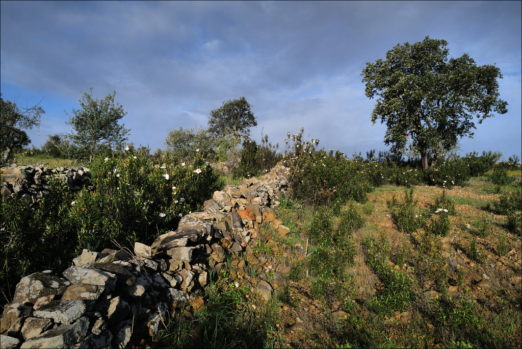 Penedos, Morning hike