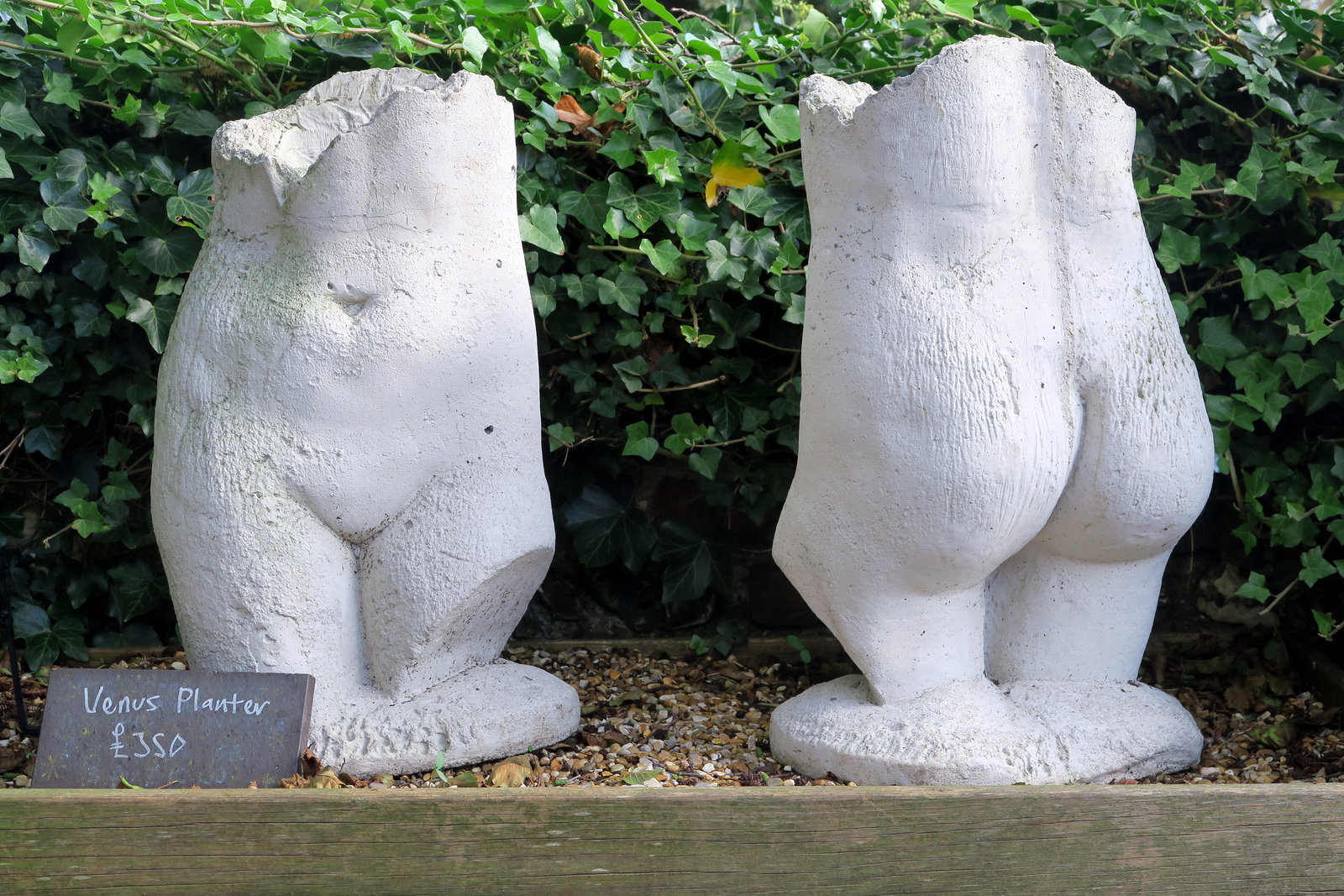 IMG 3291-001-Venus Planters