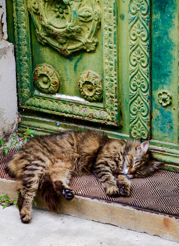 Lazy Sunday