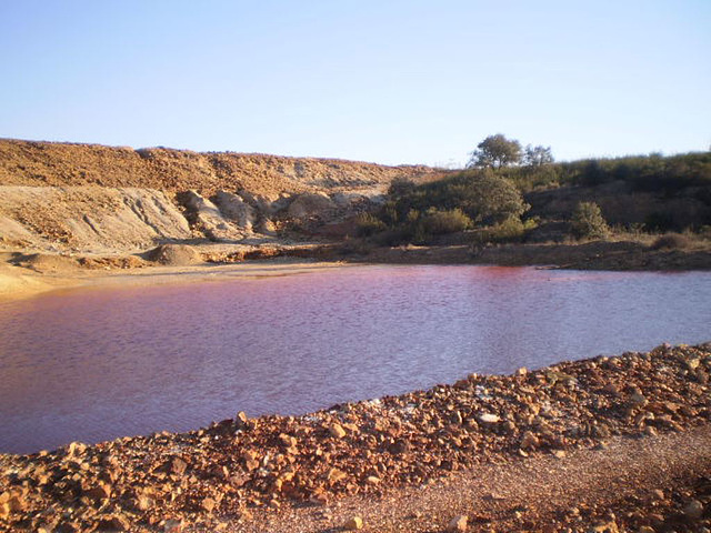 Pink lagoon.