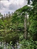 Zinnschützweiher