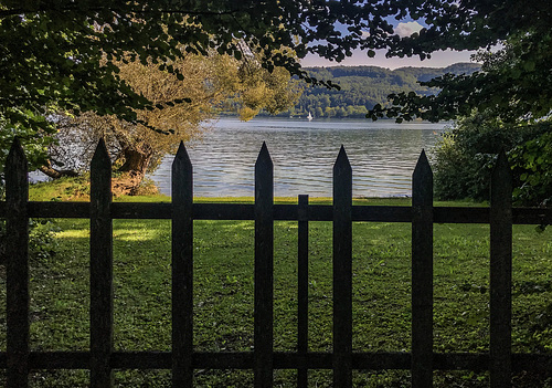 A Fence for Friday