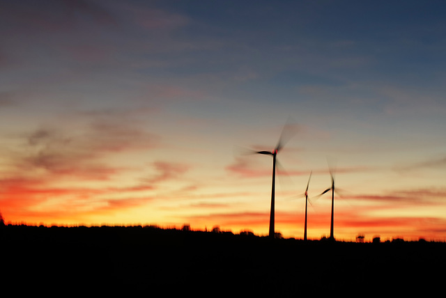 Penedos, Wind turbines expelling seeds?