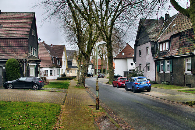 Am Grünen Winkel (Victoria-Siedlung, Lünen) / 4.03.2023