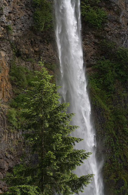 Multnomah Falls