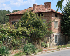 House with grapevine and apple tree