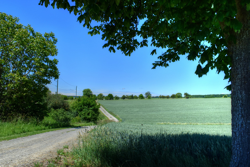 Blick über die Felder