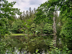 Zinnschützweiher