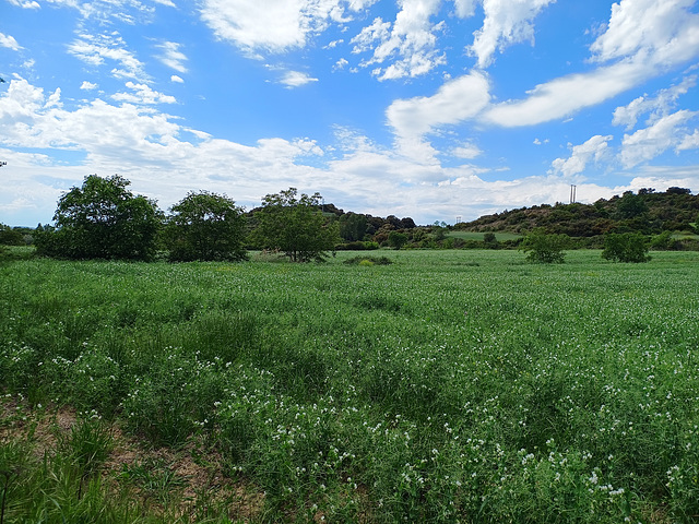 Orcoyen (Navarra), 7