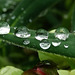 Raindrops 3