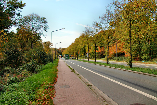 Im Emscherbruch (Herten) / 15.10.2018