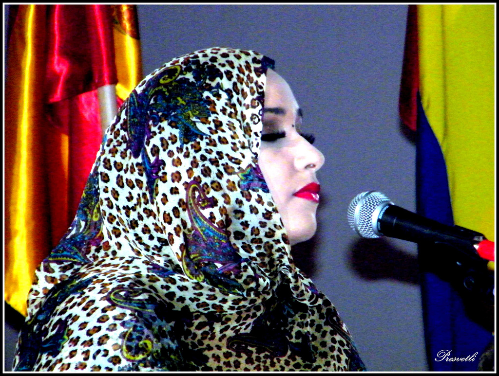 Unе chanteuse traditionnelle de Mauritanie * Eine traditionelle Sängerin aus Mauretanien