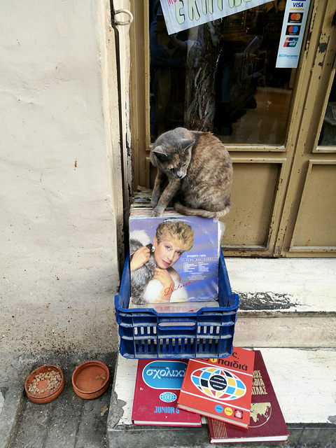 Athens 2020 – Cat at the antique shop
