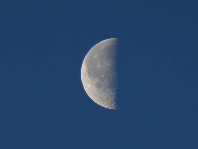 Halbmond am frühen Morgen