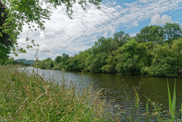 Et au milieu coule une rivière